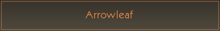 Arrowleaf