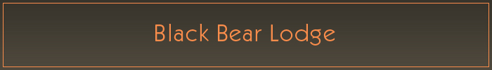 Black bear Lodge