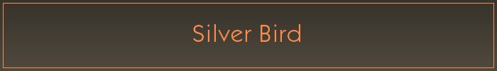 Silver Bird