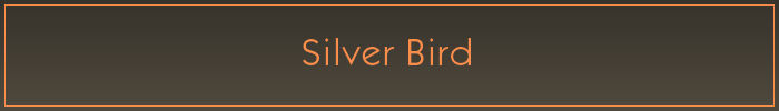 Silver Bird