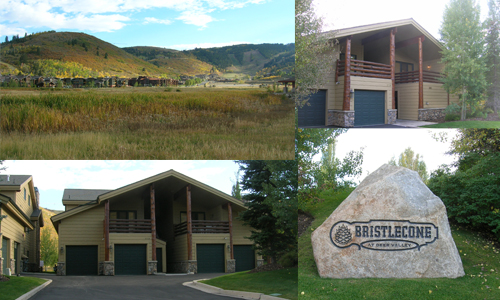 Bristlecone at Deer Valley Real Estate For Sale
